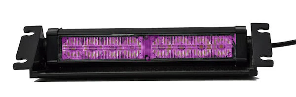 Strobes N' More Purple Dual Dash LED